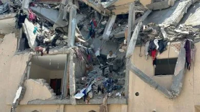 Gaza: Dozens of Martyrs Due to Occupation Massacres, Bodies Recovered from Khan Younis