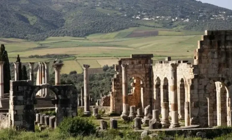 Improvement of the Volubilis Archaeological Site: An Ambitious Plan to Preserve and Develop Cultural Heritage