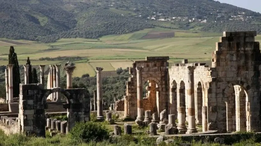 Improvement of the Volubilis Archaeological Site: An Ambitious Plan to Preserve and Develop Cultural Heritage