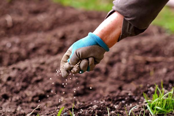 Morocco a Major Exporter of Fertilizers to the European Union