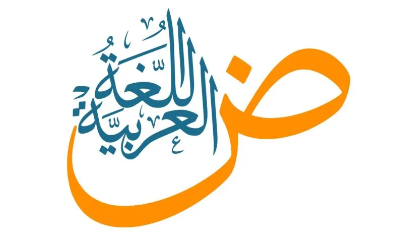 Arabic Language Ranks Fifth Globally: A Linguistic Renaissance and Increasing Spread