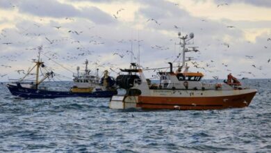 Court of Justice of the European Union's Decision Angers Spaniards and Threatens to Erase the Fishing Fleet in "Cádiz"