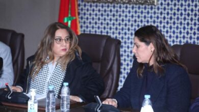 Official: "PAM" Chooses Successor to Abou El Ghaly in the Tri-Leadership