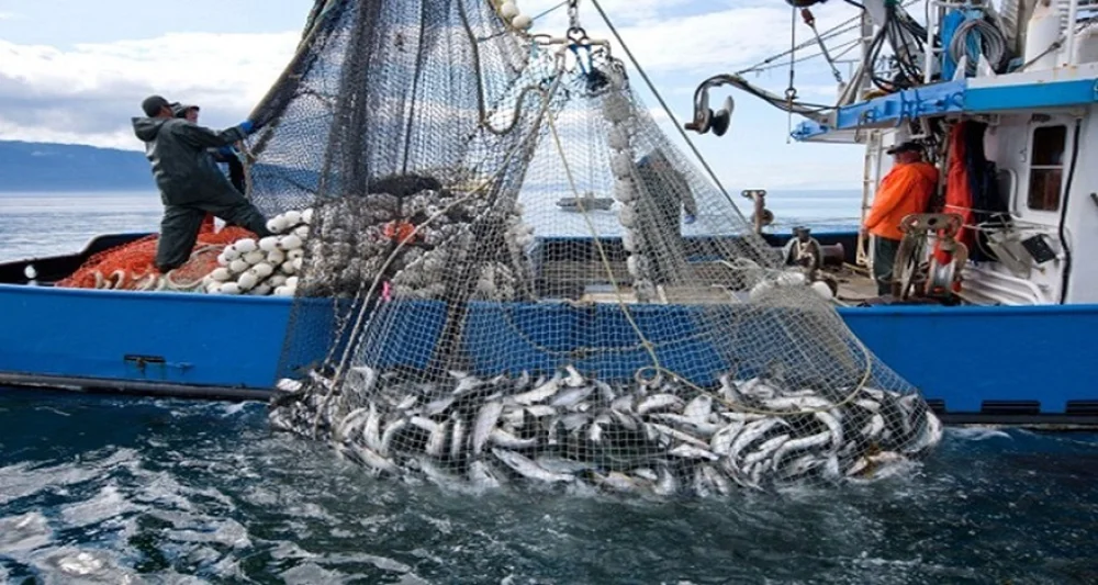 Russia Allocates 10,000 Tons of Fish Quota in Moroccan Waters to Its Companies