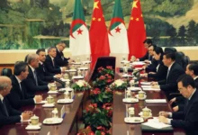 Expert Reveals Reasons Behind China's Withdrawal of Investments from Algeria