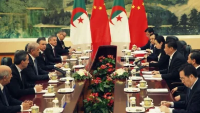 Expert Reveals Reasons Behind China's Withdrawal of Investments from Algeria