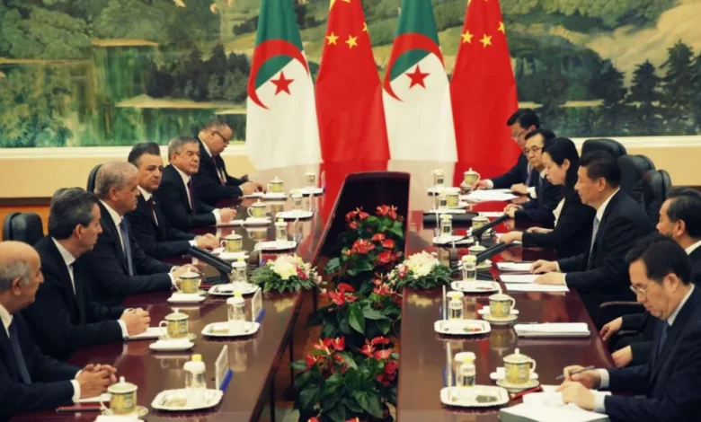 Expert Reveals Reasons Behind China's Withdrawal of Investments from Algeria