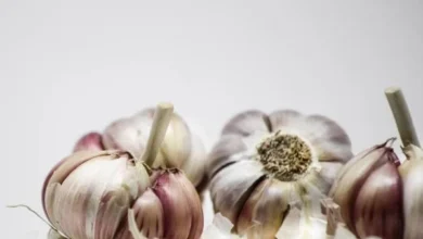 Garlic: Your Natural Shield Against Colds and Immune Booster