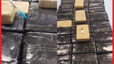 Foiling a Major Cocaine Smuggling Operation at the Guerguerat Border Crossing