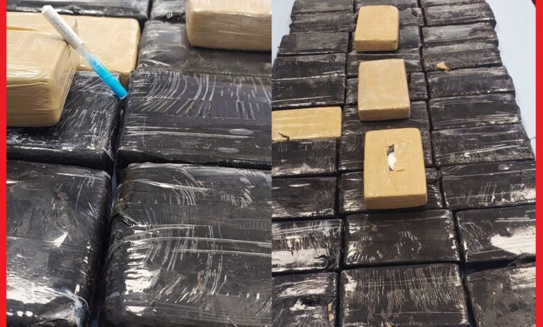 Foiling a Major Cocaine Smuggling Operation at the Guerguerat Border Crossing