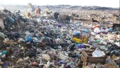 Including “Martah” of Boudarham… Government Announces 270 Projects to Landfill and Close Illegal Dumpsites