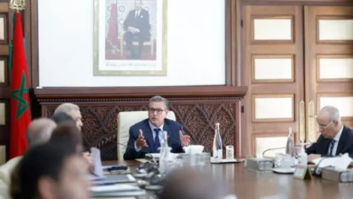 Government Council Discusses Draft Decrees and International Agreements, Concludes with Appointments and Legislative Proposals